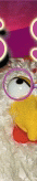 Chicken Eye